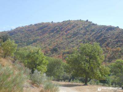Meandros Río Lozoya - Pontón de la Oliva - Senda del Genaro GR300; 